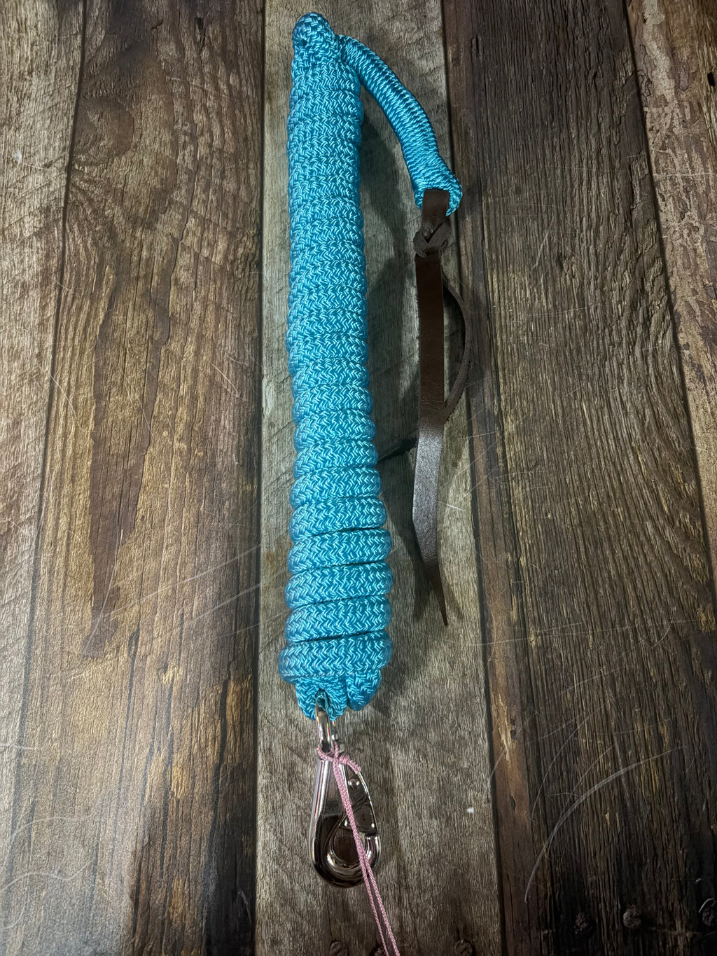 Lead Rope- Aqua