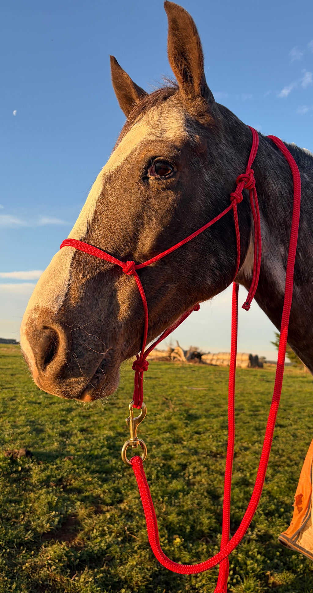 Lead Rope- Red