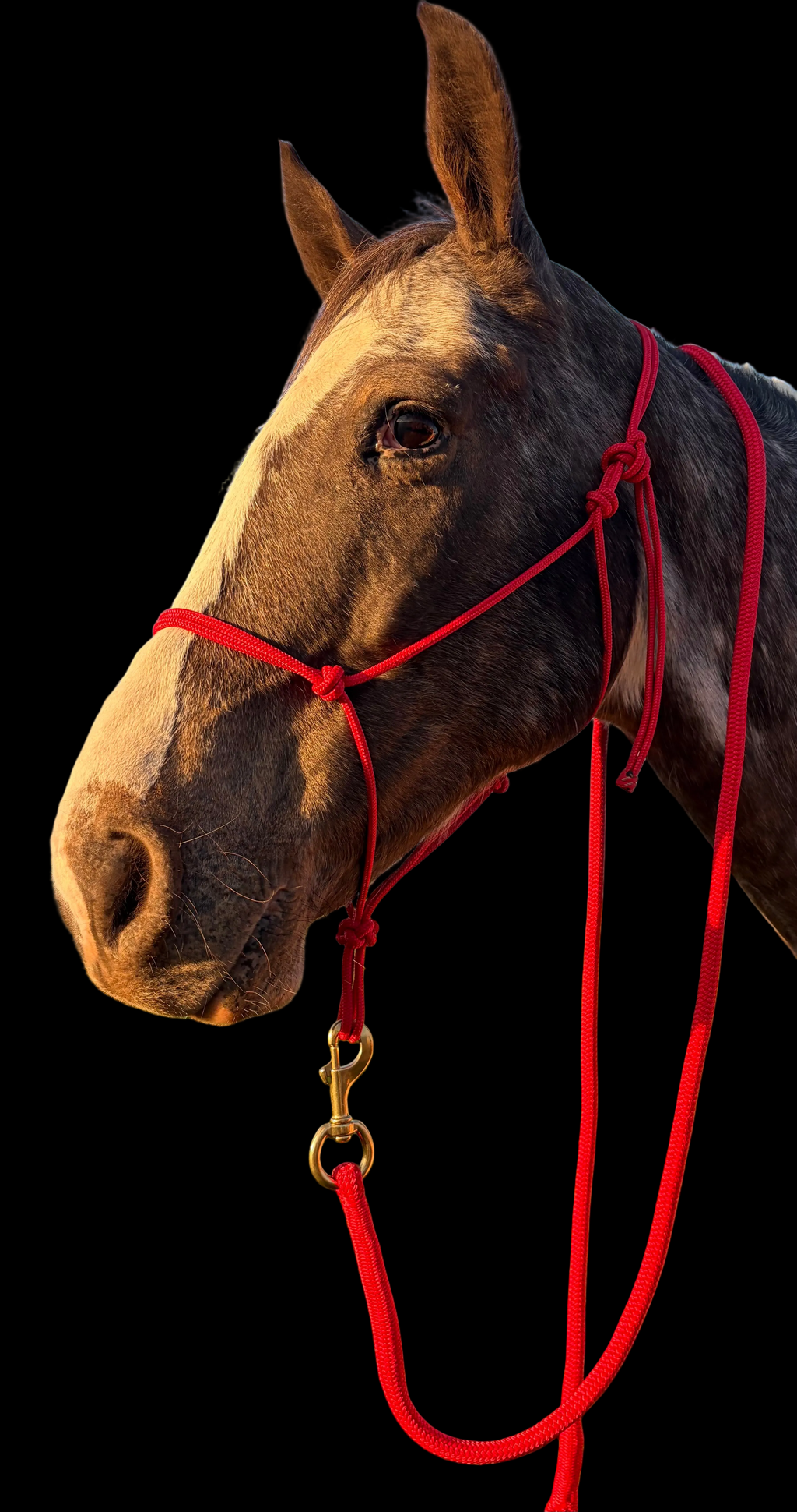 Lead Rope- Red