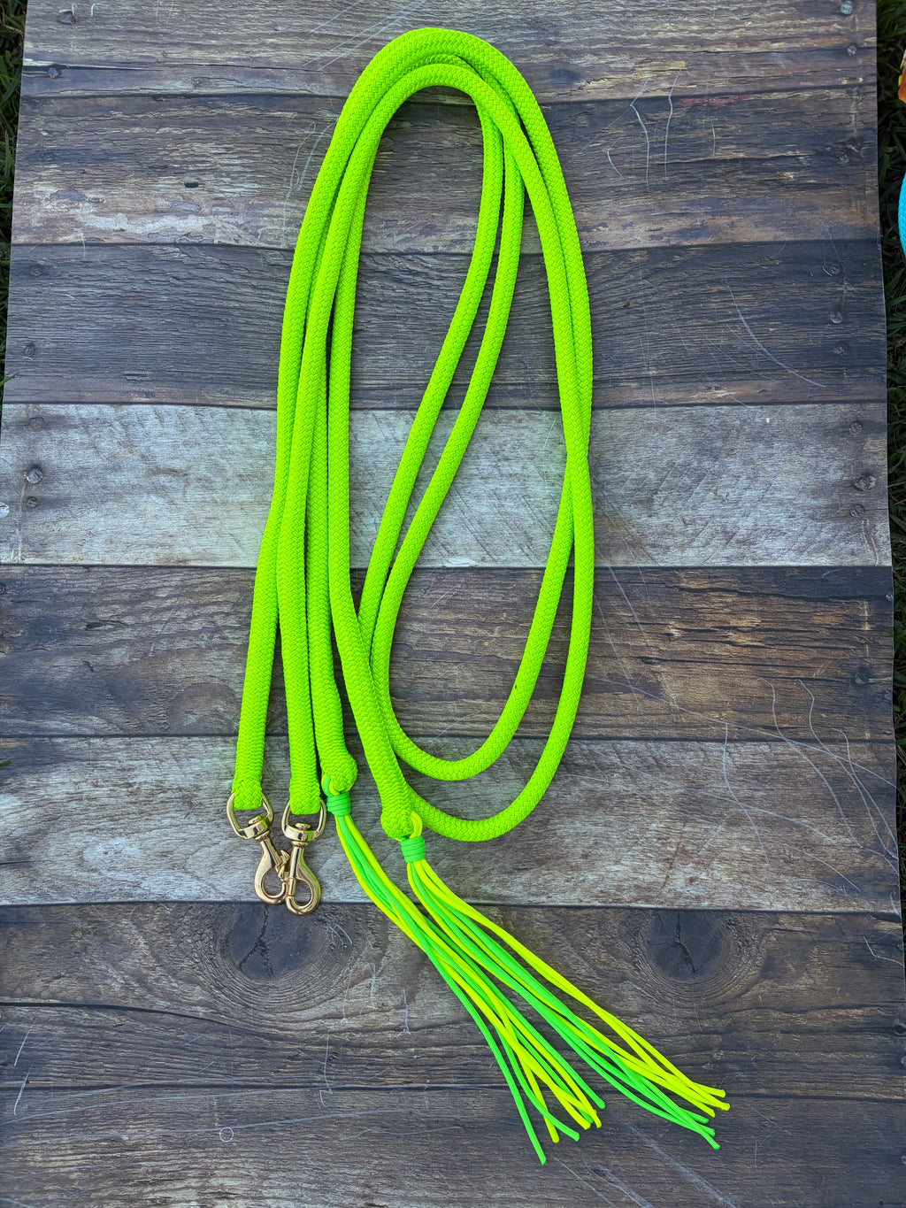 Reins- Lime