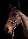 Rope Halter- Unicorn