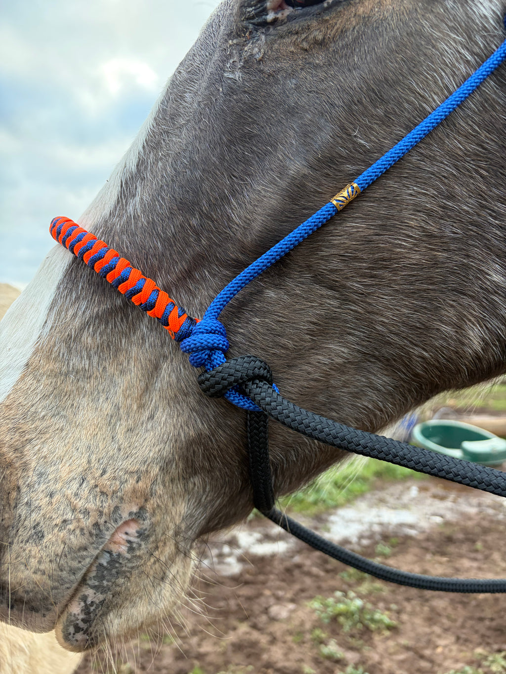 Antola Riding Halter- Small