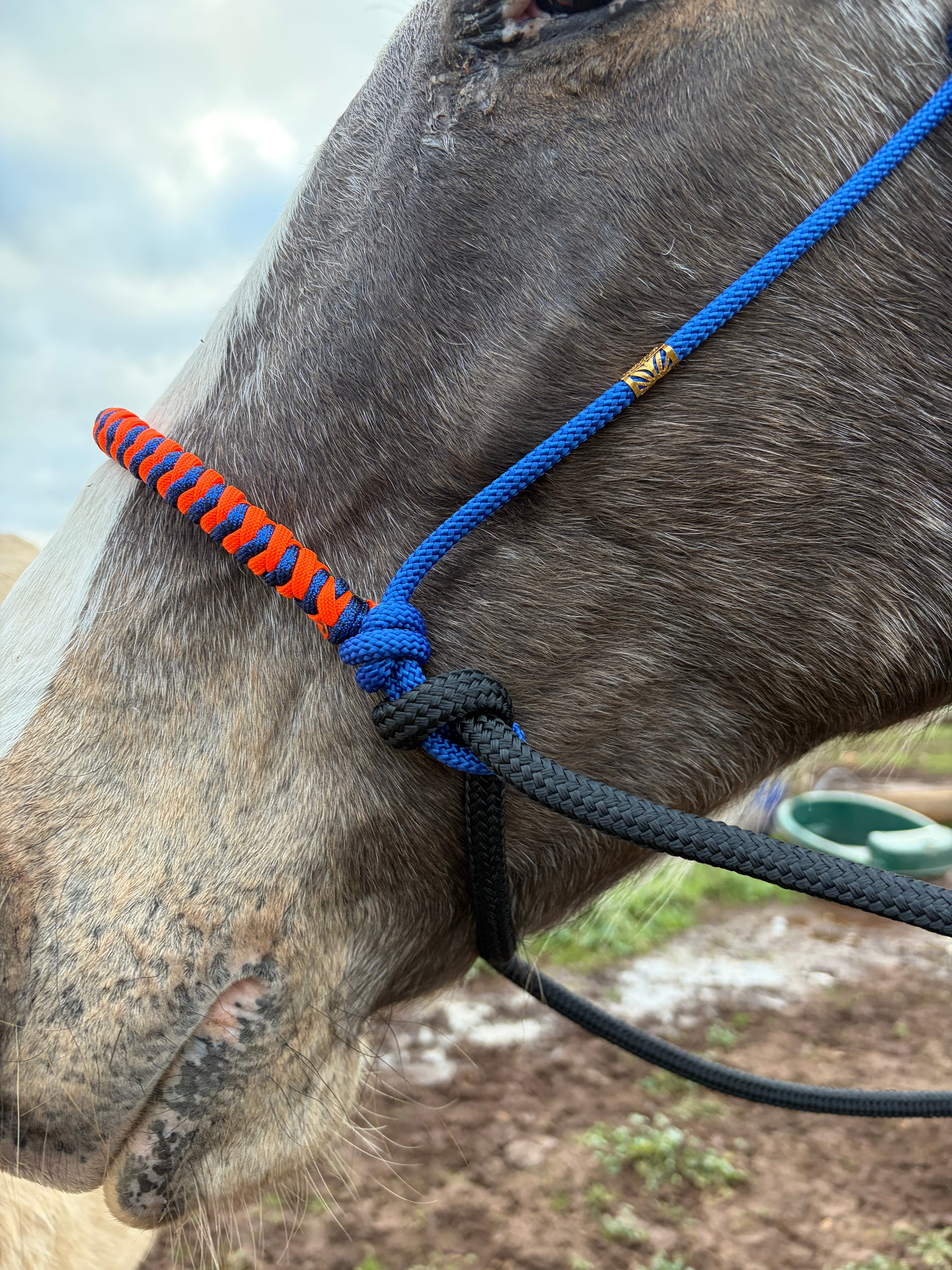 Antola Riding Halter- Large