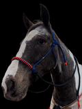 Antola Riding Halter- Small