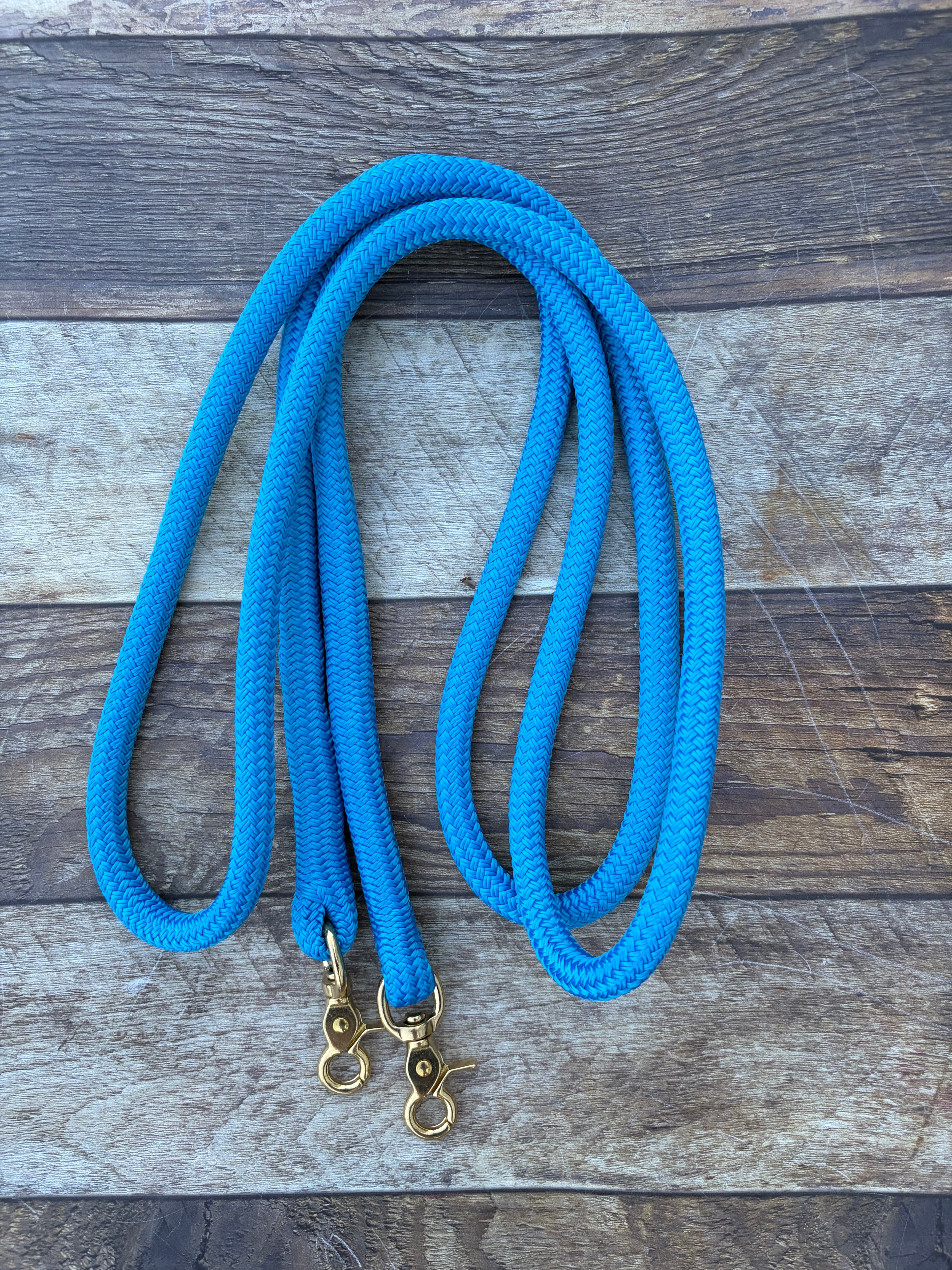 Reins- Blue