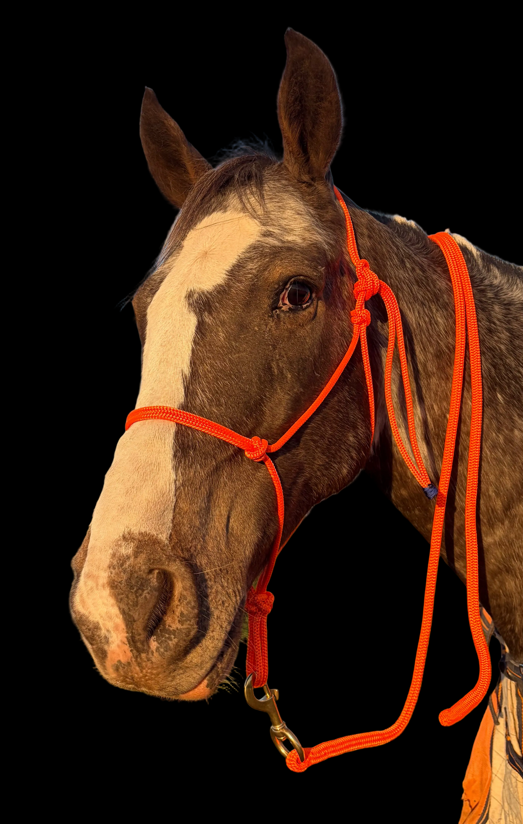 Lead Rope- Orange