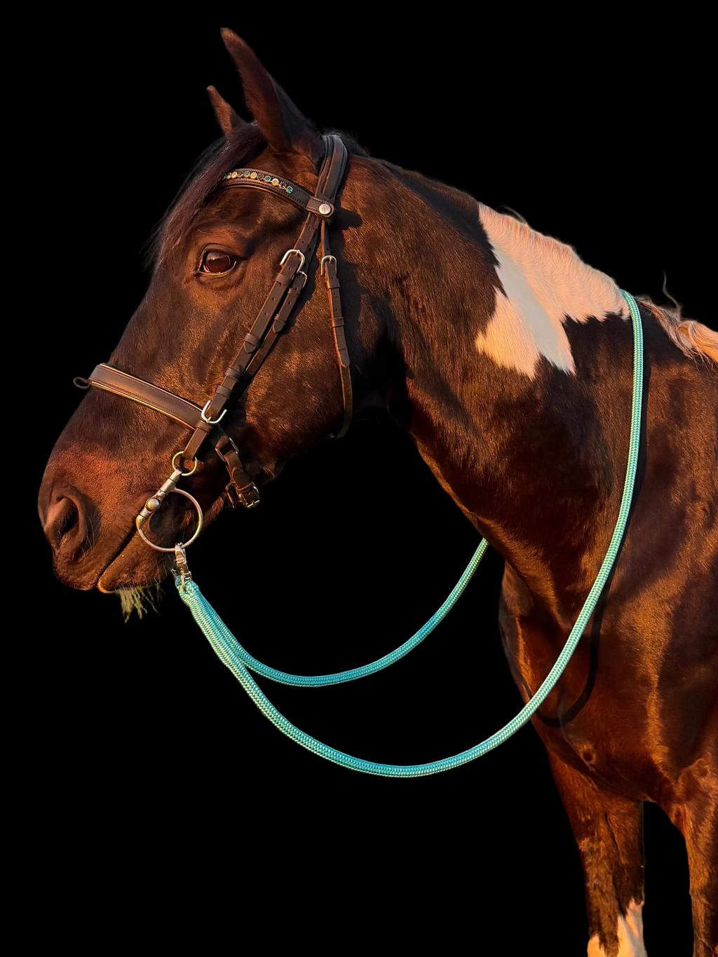 Reins- Aqua