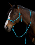 Rope Halter- Aqua