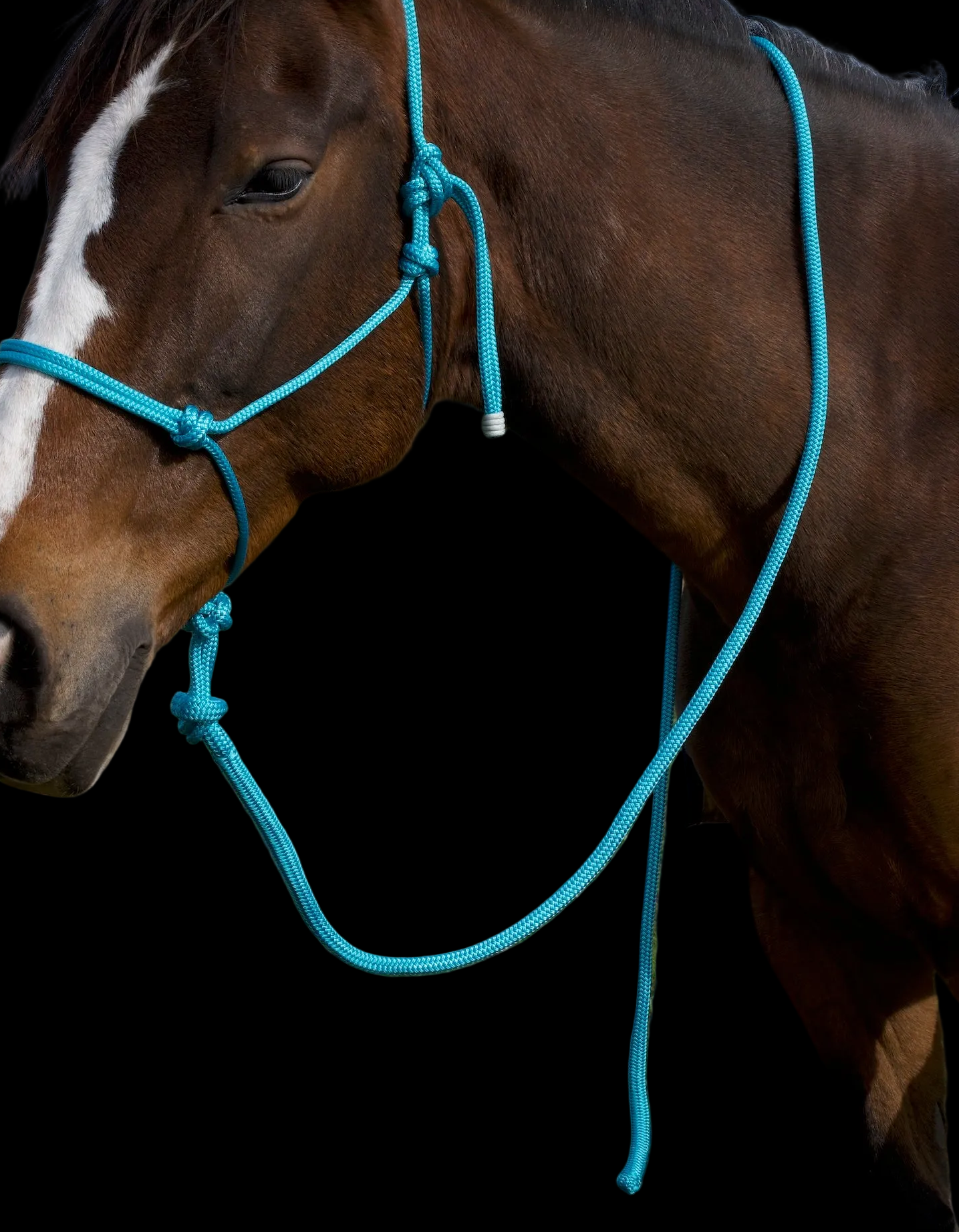Lead Rope- Aqua