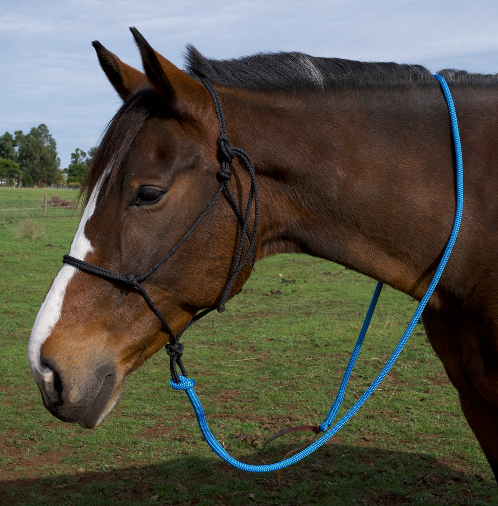 Lead Rope- Blue