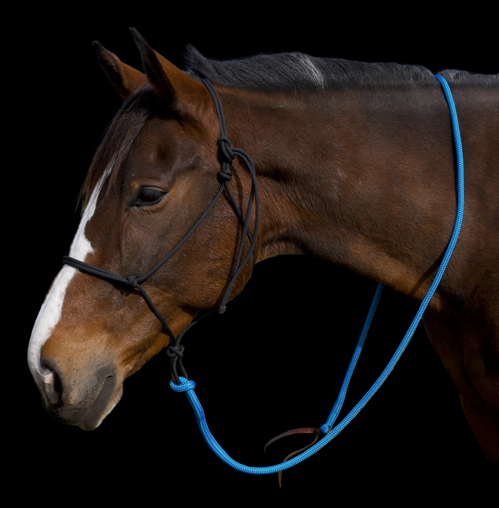 Lead Rope- Blue