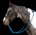 Reins- Blue