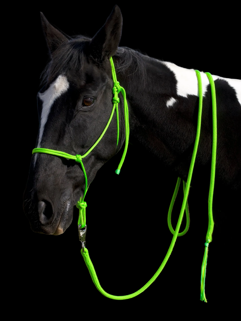 Lead Rope- Lime
