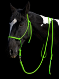 Lead Rope- Lime