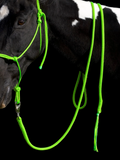 Lead Rope- Lime