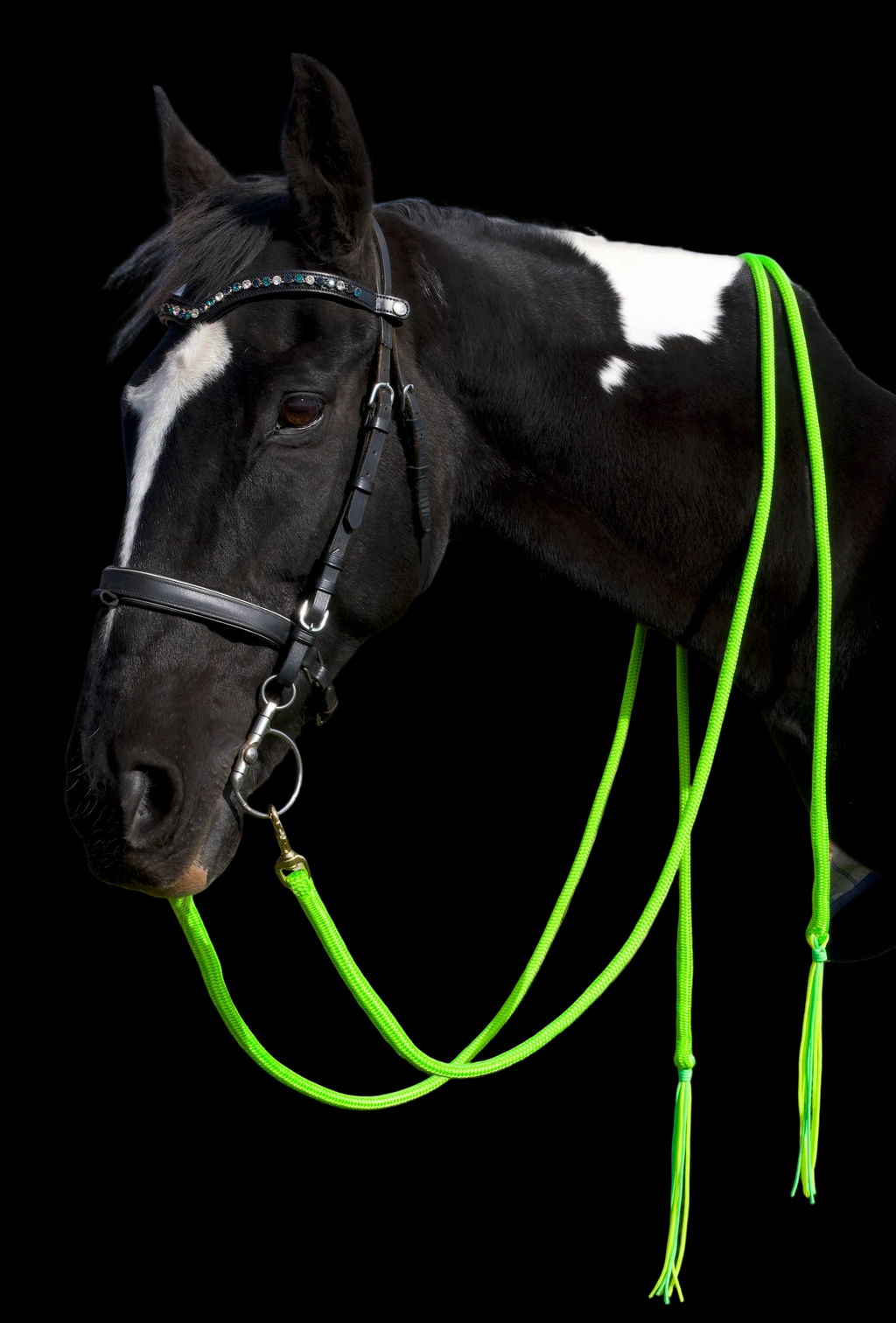 Reins- Lime