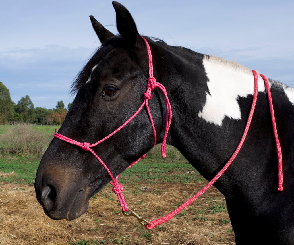 Rope Halter- Pink