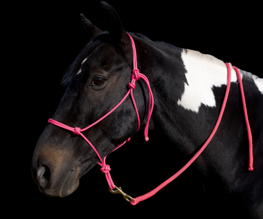 Rope Halter- Pink