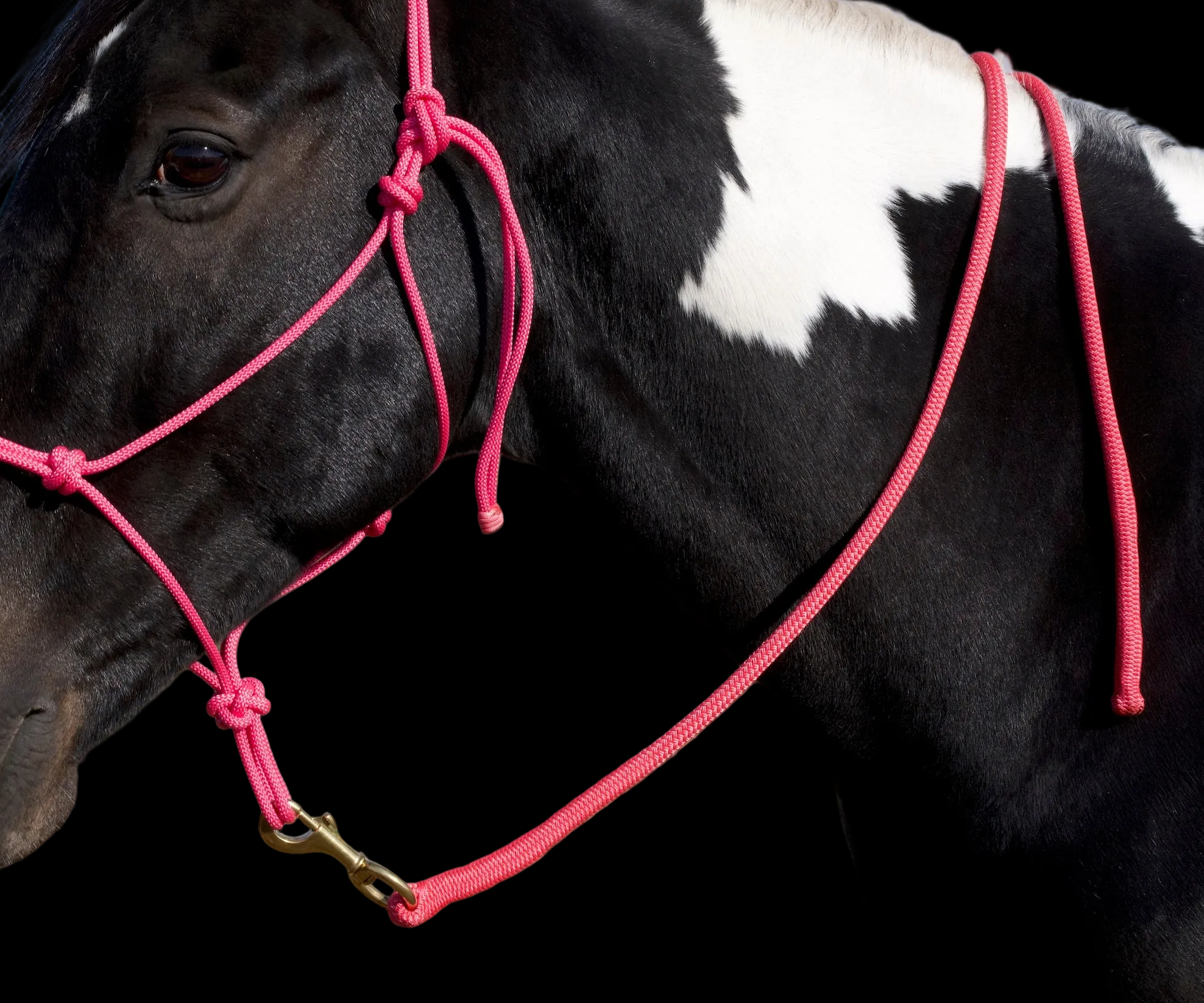 Lead Rope- Pink