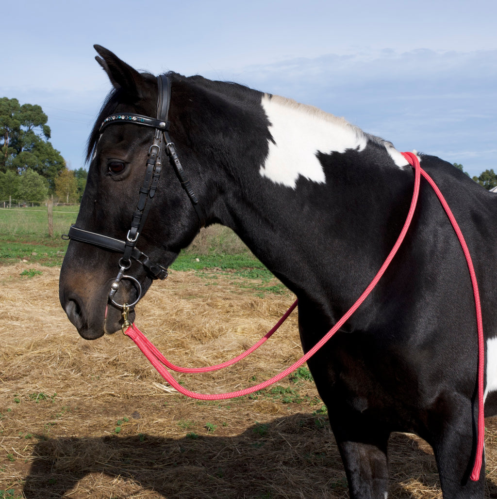 Reins- Pink