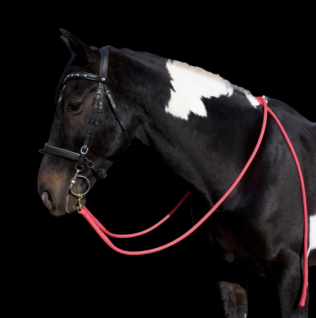 Reins- Pink