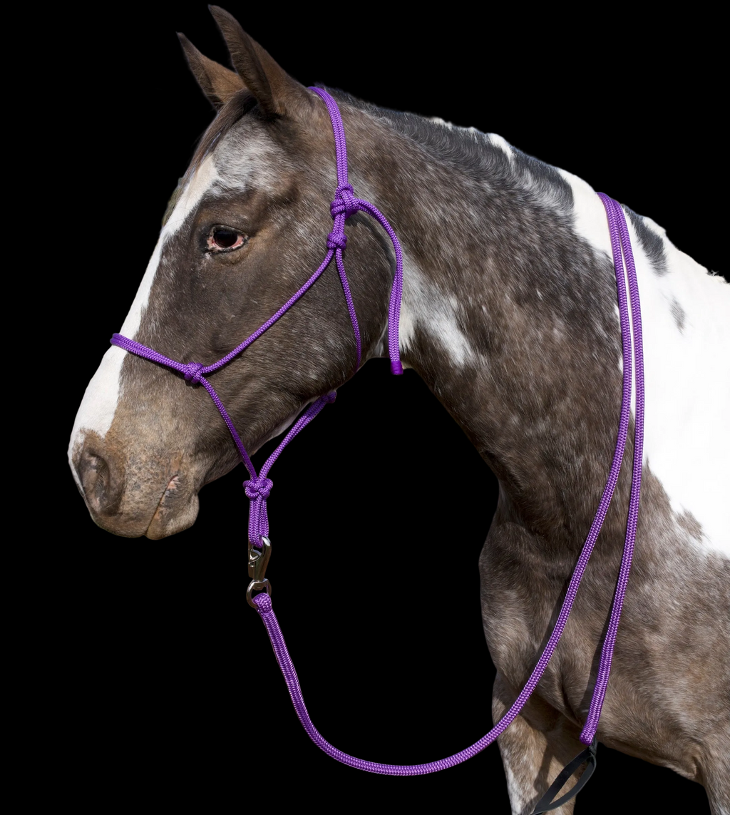 Lead Rope- Purple