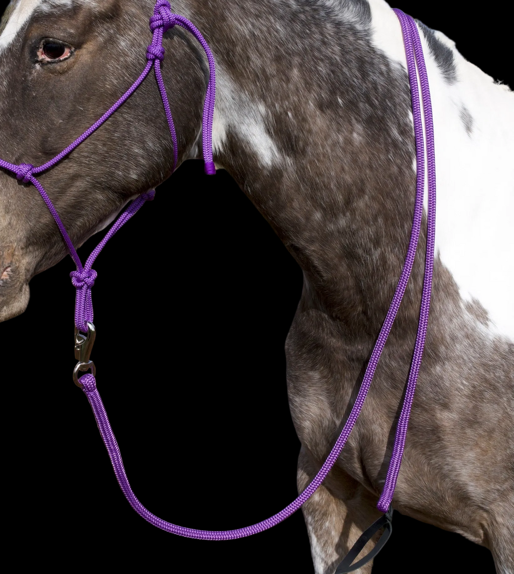 Lead Rope- Purple