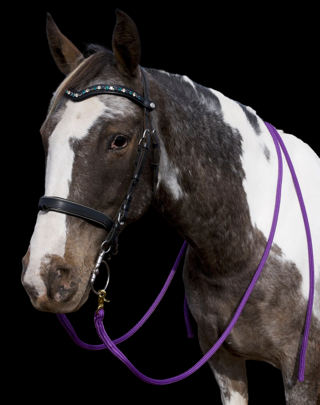 Reins- Purple